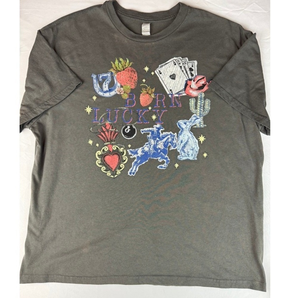 Vintage Born Lucky Graphic Tee Mens Large Gray Western Cowboy Shirt